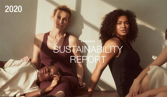 annual report 2020